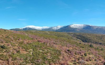 Ruta subida al puerto de la Acebeda