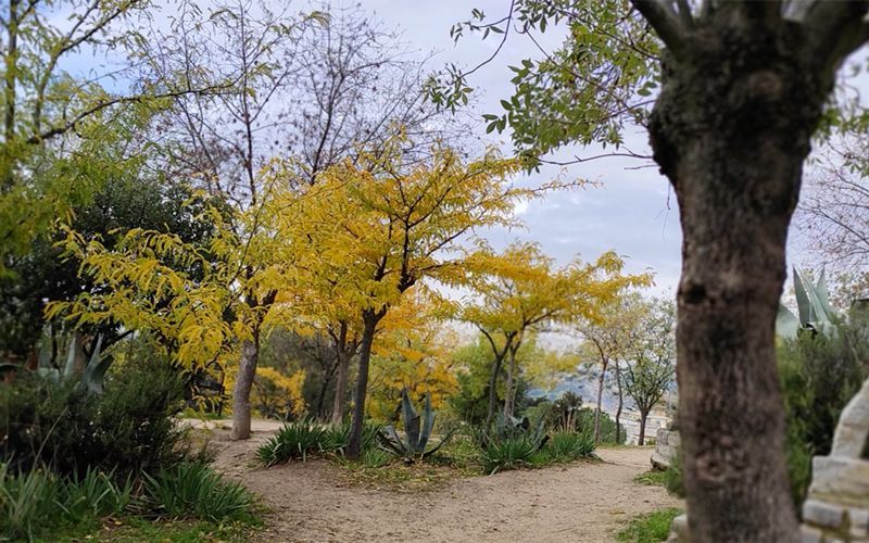 La Dehesa de la Villa, un año después de Filomena