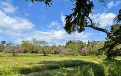 Un paseo aristocrático: Quinta de Torre Arias