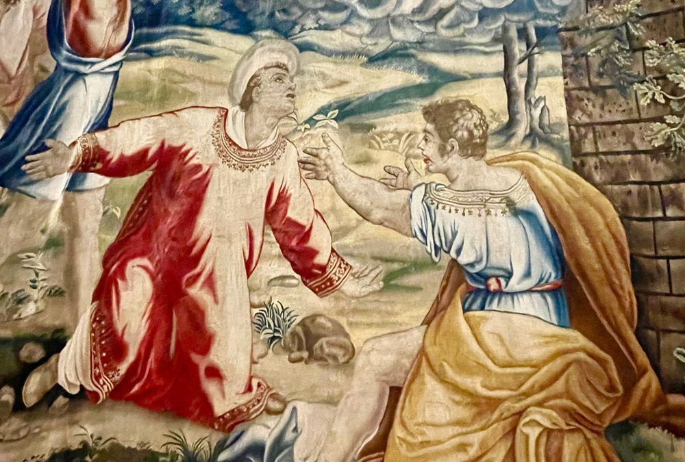 Visita Guiada a la Real Fábrica de Tapices