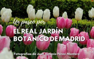 Un paseo por el Real Jardín Botánico de Madrid