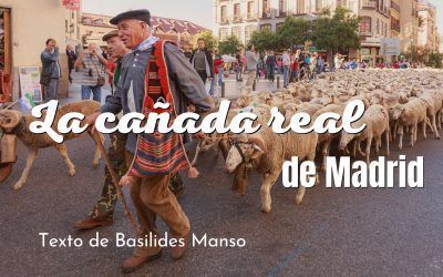 La cañada real de Madrid