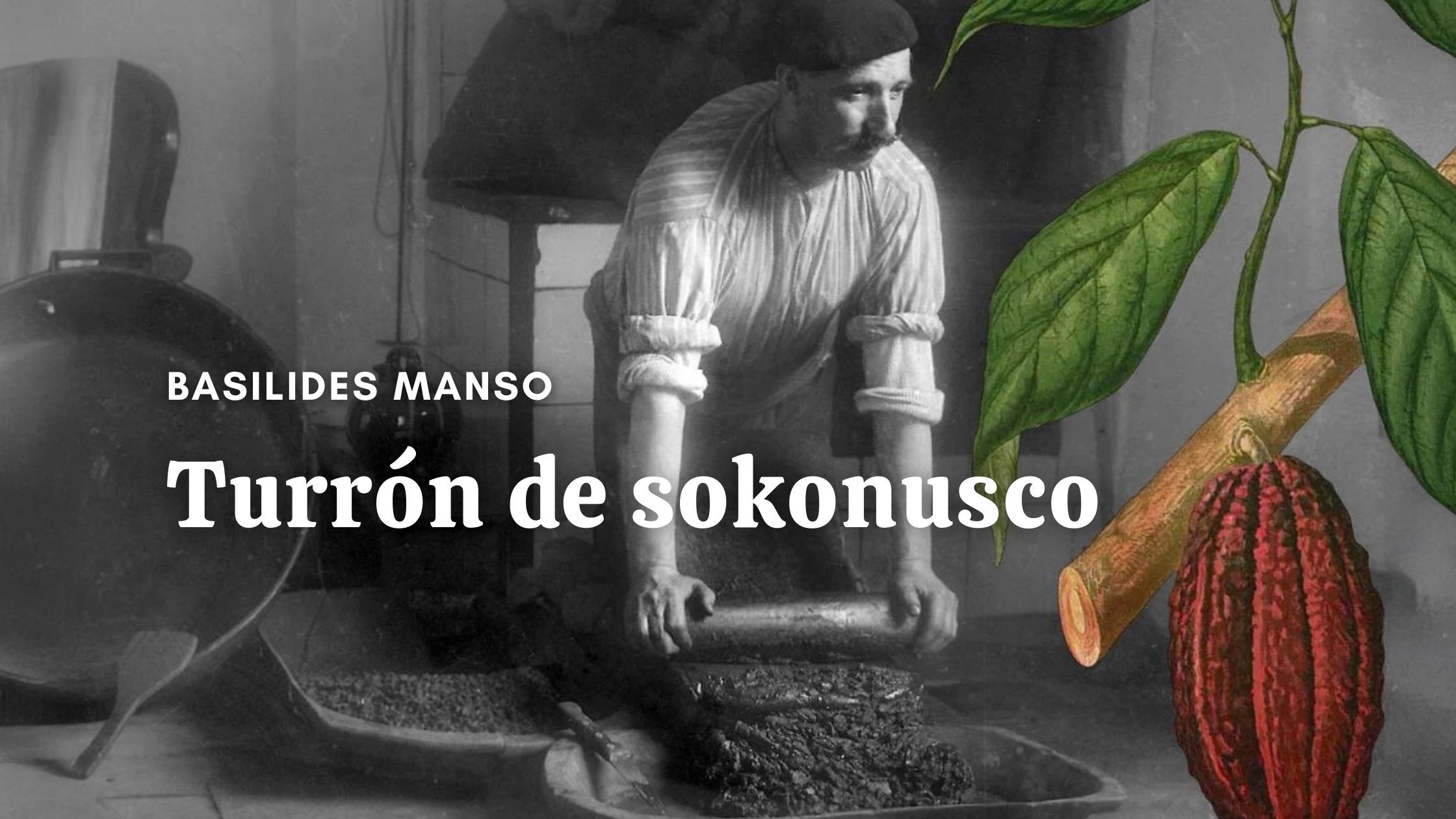 banner sokonusco