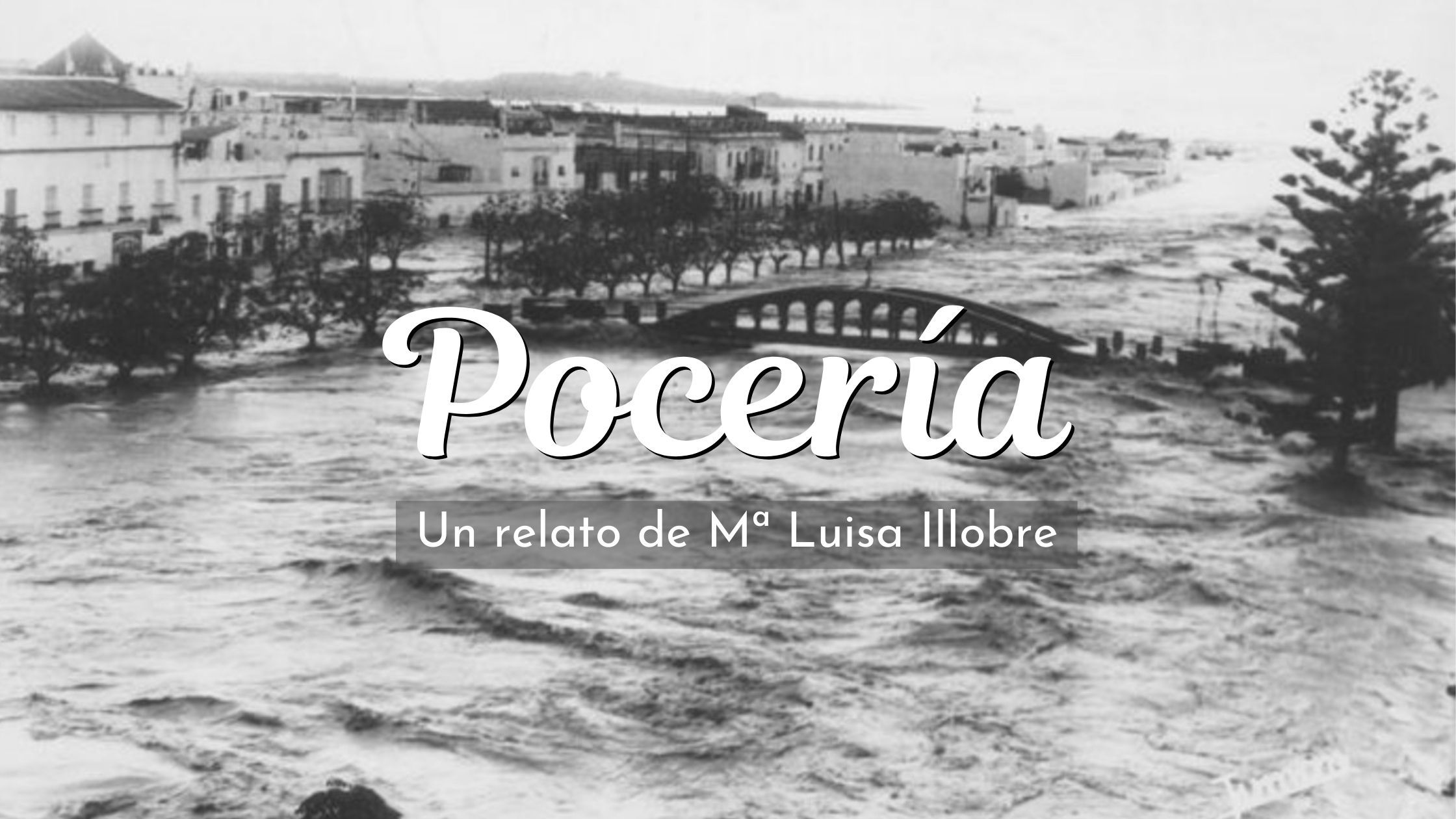 Caratula Pocería
