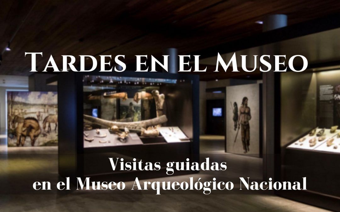 Tardes en el Museo. Visitas guiadas en el Museo Arqueológico Nacional