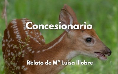 Concesionario.  Relato de Mª Luisa Illobre