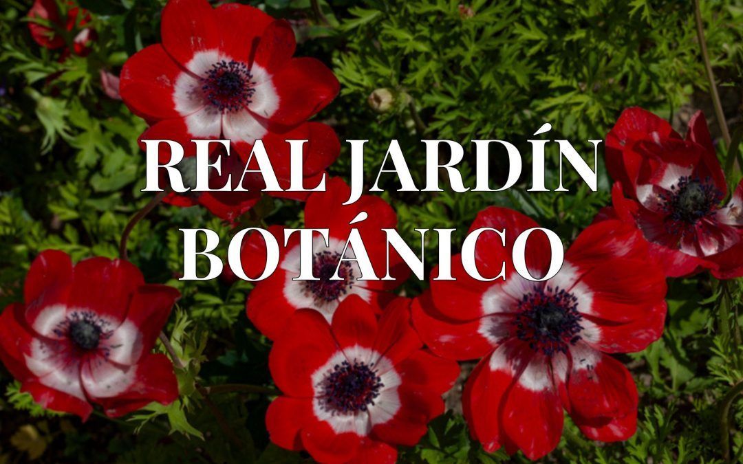 El Real Jardín Botánico en el mes de Mayo