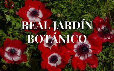 El Real Jardín Botánico en el mes de Mayo