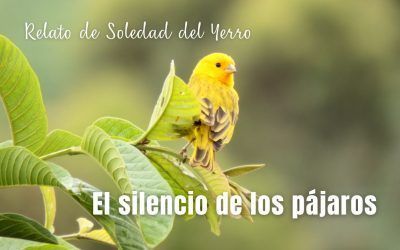 El silencio de los pájaros. Relato de Soledad del Yerro