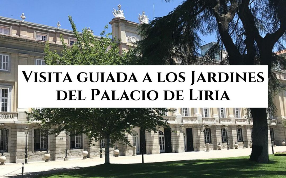 Visita guiada a los Jardines del Palacio de Liria. Junio, julio y agosto 2024