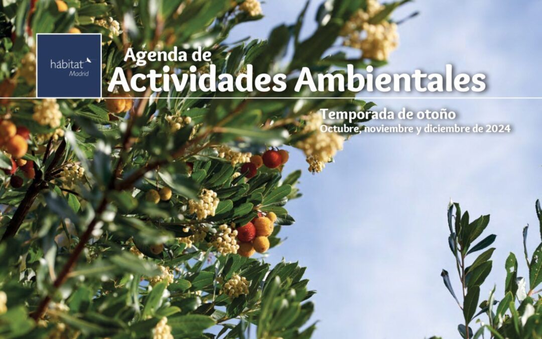 Agenda de Actividades Ambientales Habitat Madrid – Otoño 2024