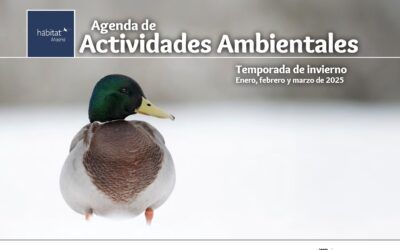Agenda de Actividades Ambientales Habitat Madrid – Enero, febrero y marzo 2025