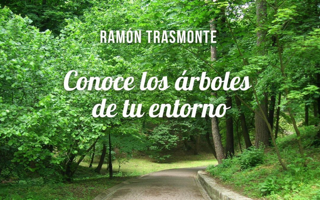 Conoce los árboles de tu entorno – Ramón Trasmonte