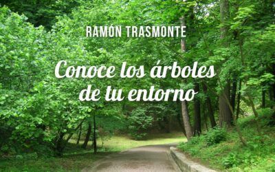 Conoce los árboles de tu entorno – Ramón Trasmonte