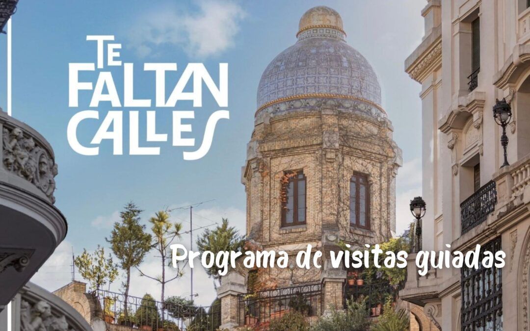 Programa de visitas guiadas «Te faltan calles» – FINALIZADO
