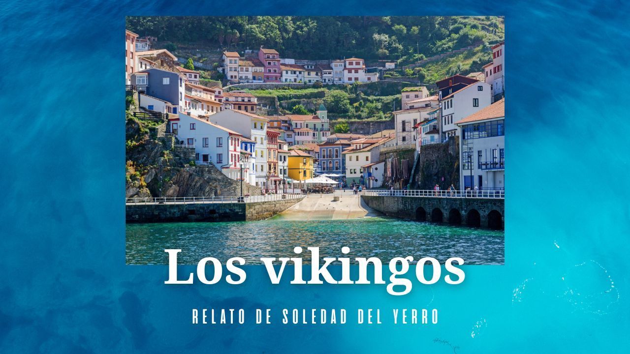 Banner vikingos