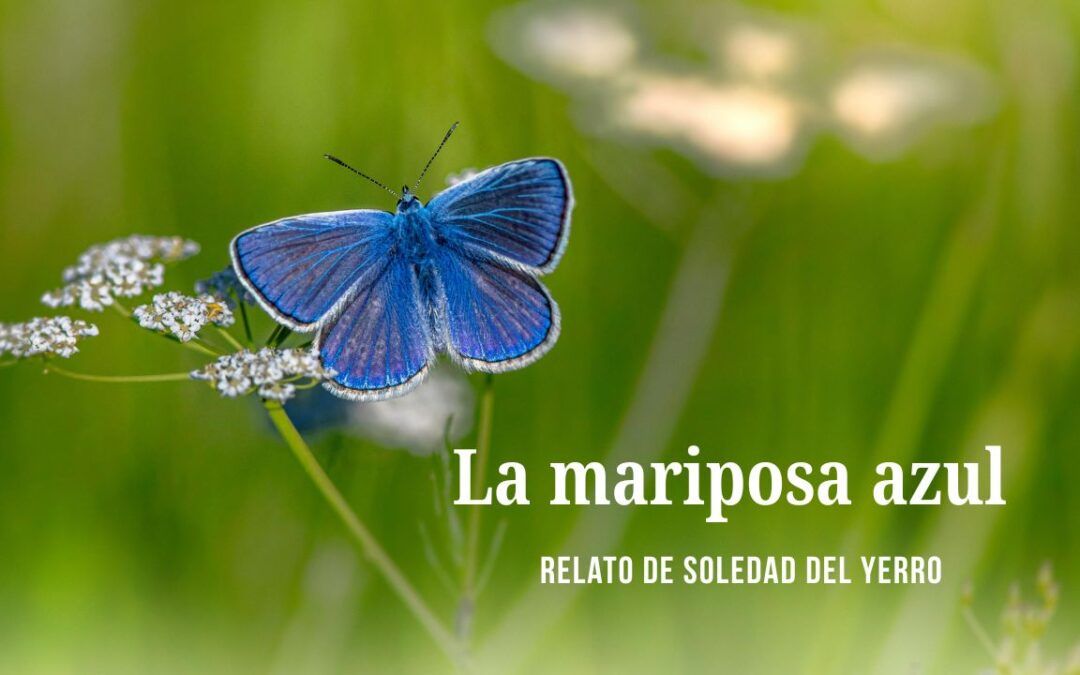 La mariposa azul. Relato de Soledad del Yerro