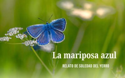 La mariposa azul. Relato de Soledad del Yerro