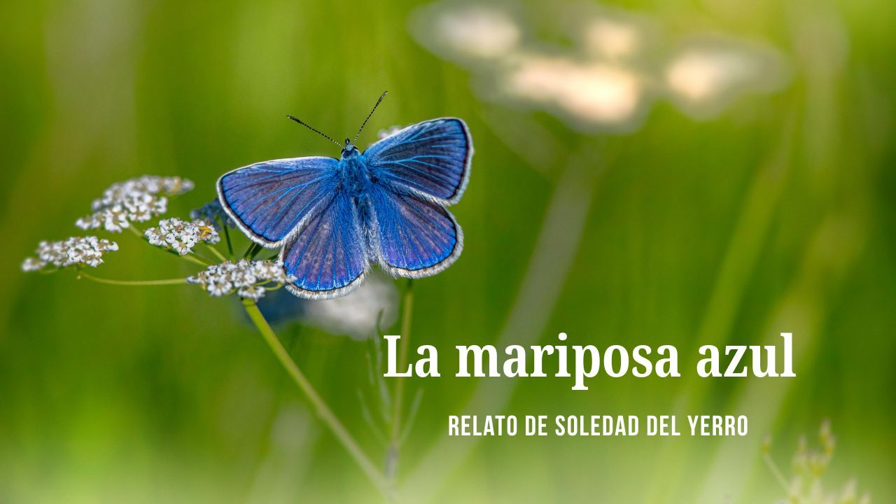 COSAS DE SOLE-7