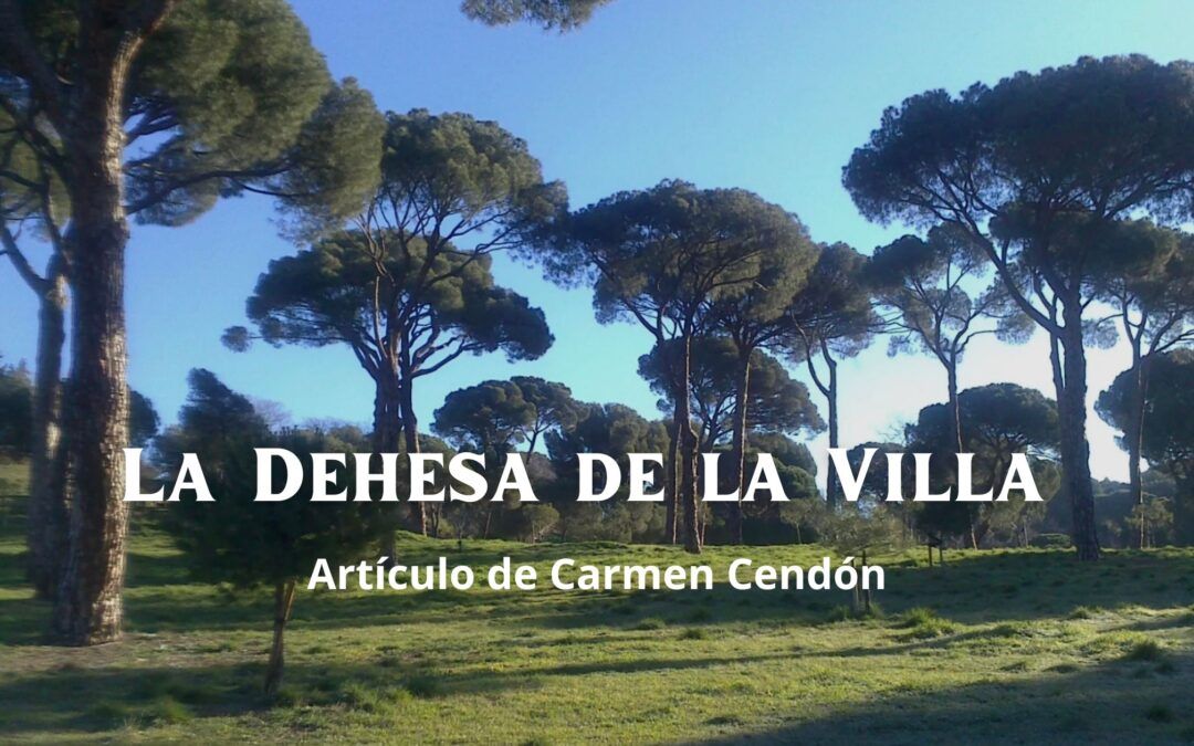 La Dehesa de la Villa. Artículo de Carmen Cendón