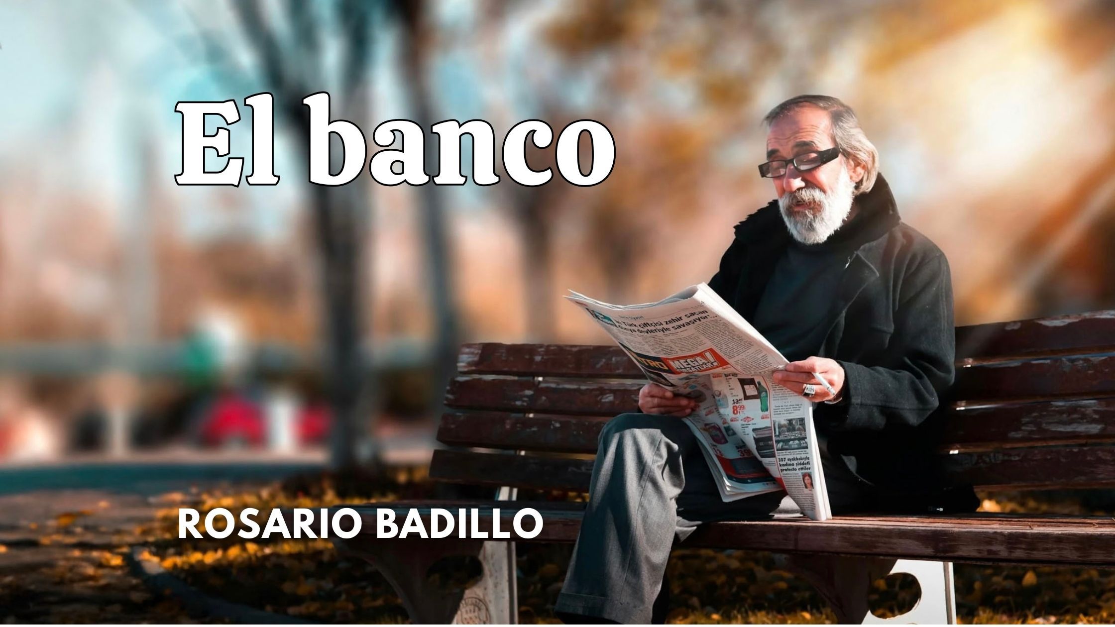 Banner banco
