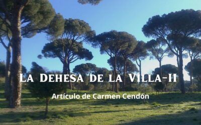 La Dehesa de la Villa II – Siglo XX. Artículo de Carmen Cendón