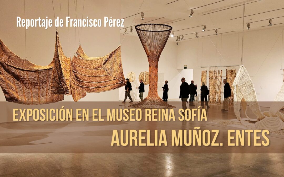 Museo Reina Sofía – Aurelia Muñoz. Entes. Reportaje de Francisco Pérez – HASTA EL 7 DE SEPTIEMBRE